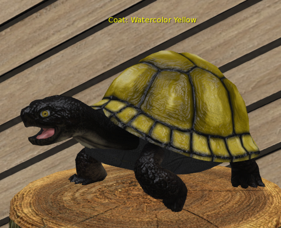 Foxtrot Box Breedable Turtle Large Female Watercolor Yellow