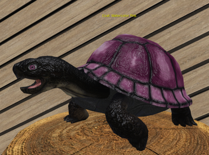 Foxtrot Box Breedable Turtle Large Male Watercolor Pink