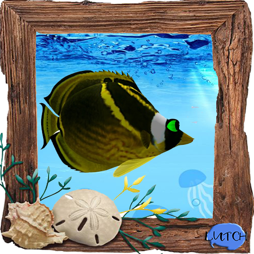 (7S) Common Fish: Yellow Raccoon Fish