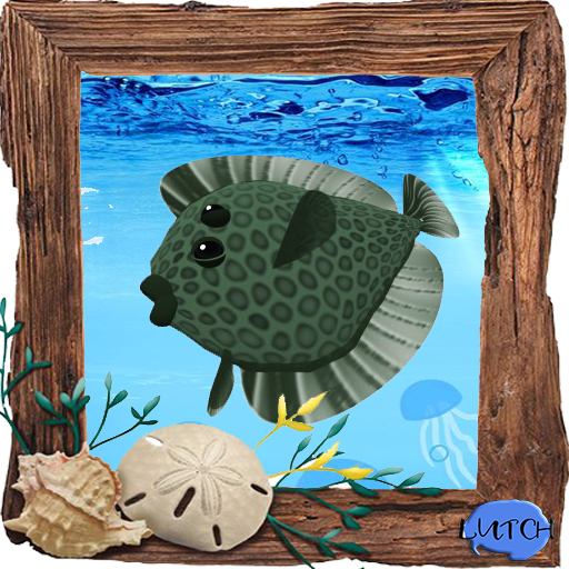 (7S) Common Fish: Green Flounder