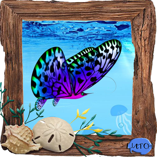 (7S) Common Fish: Butterflyfish Dotty
