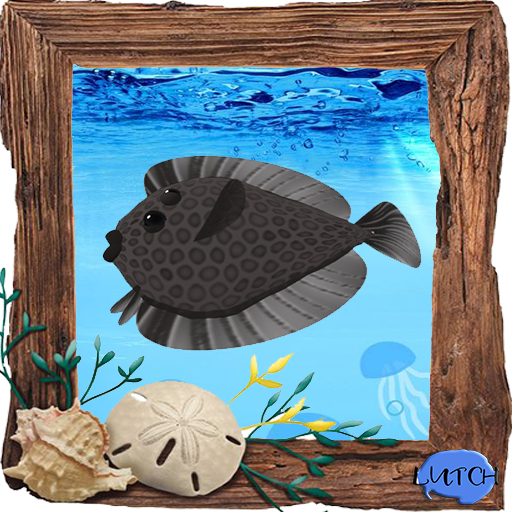 (7S) Common Fish: Brown Flounder