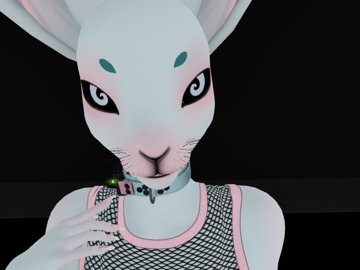 Kushrat - Bunwe eyebrows for HP Rabbit Head