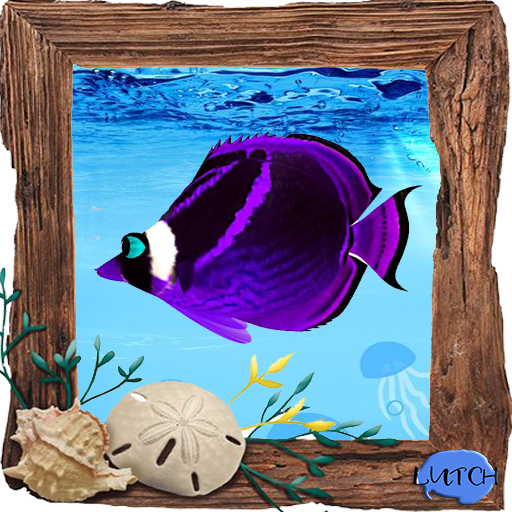 (7S) Common Fish: Purple Raccoon Fish