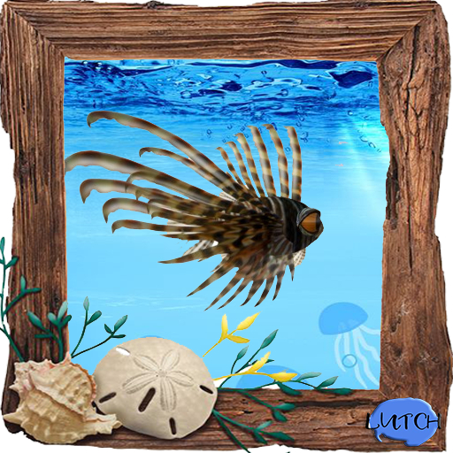 (7S) Uncommon Fish: Brown Lionfish