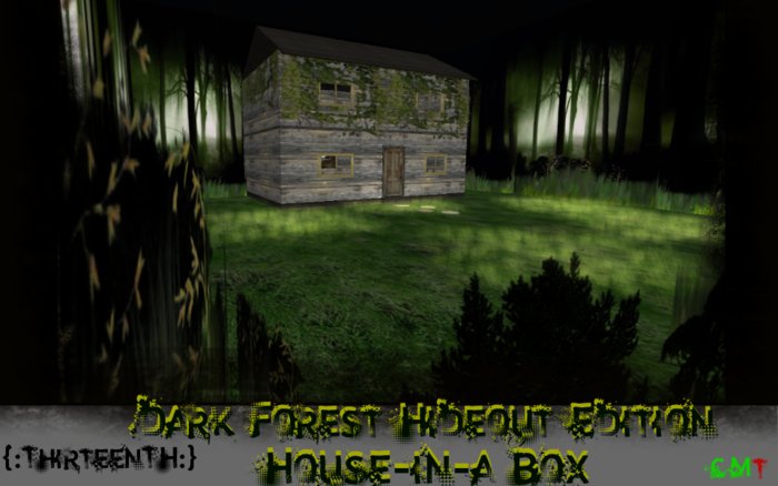 {:ThirteenTH:} House-in-a-Box: Dark Forest Hideout Edition 