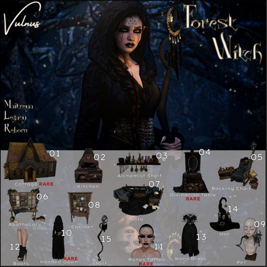 01. Vulnus Forest Witch Cottage RARE