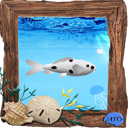 (7S) Uncommon Fish: Bekko Koi
