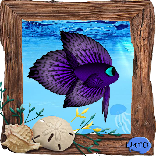 (7S) Uncommon Fish: Purple Betta