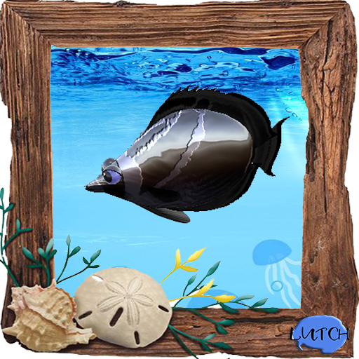 (7S) Uncommon Fish: Steel Raccoon Fish