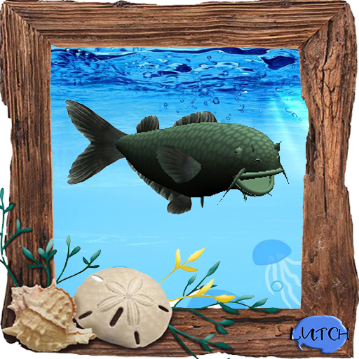 (7S) Uncommon Fish: Green Catfish