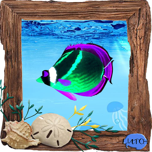 (7S) Uncommon Fish: Glow Raccoon Fish