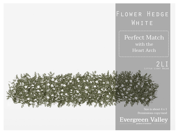 Flower Hedge White