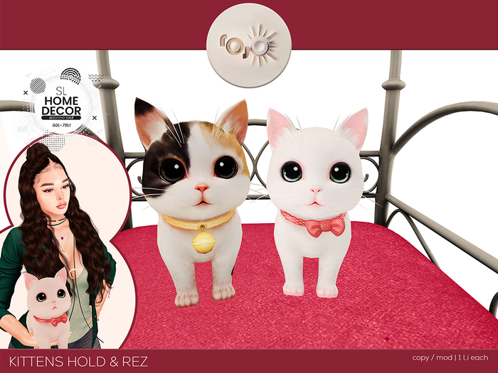 * rojo - Kittens Hold & Rez 1 Li each
