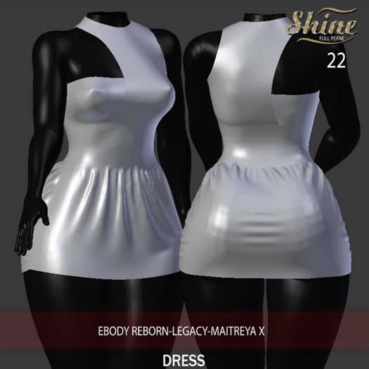 [SHINE FULL PERM] 22