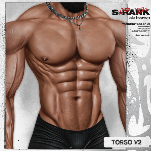 S-RANK "KHAIRO" ADD-ON / TORSO OVERHAUL V2