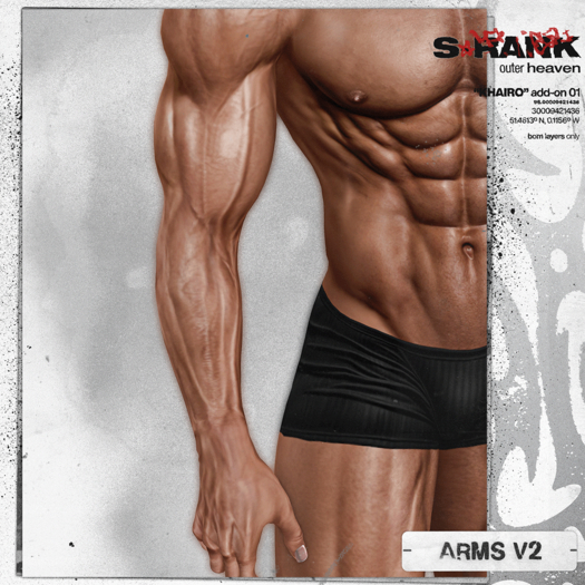 S-RANK "KHAIRO" ADD-ON / ARM OVERHAUL V2