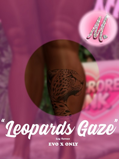 Leopards Gaze Tattoo