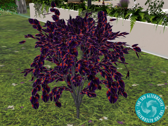 Anti Valentine Bush