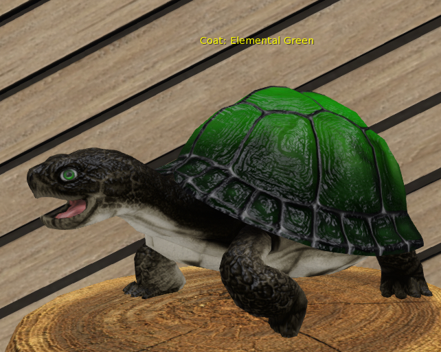 Foxtrot Box Breedable Turtle Pixie Male Elemental Green