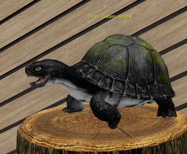 Foxtrot Box Turtle Breedable Standard Female Galaxy Yellow