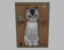 Male Breedable Cat KittyCats Burmilla Black Silver Shaded