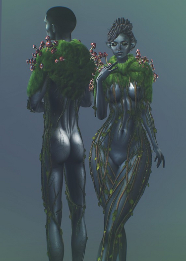 :DOBS: Forester Body Vines