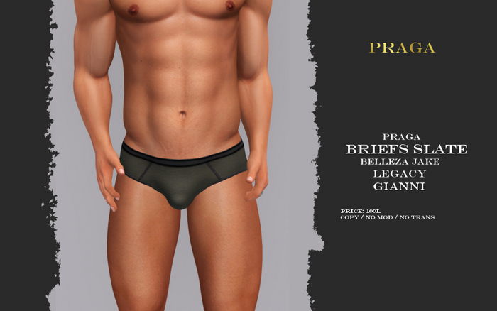 Praga Briefs Slate