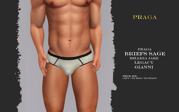 Praga Briefs Sage