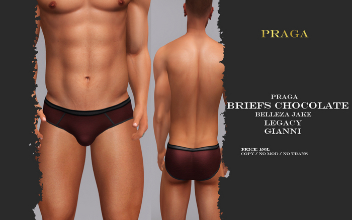 Praga Briefs Chocolate