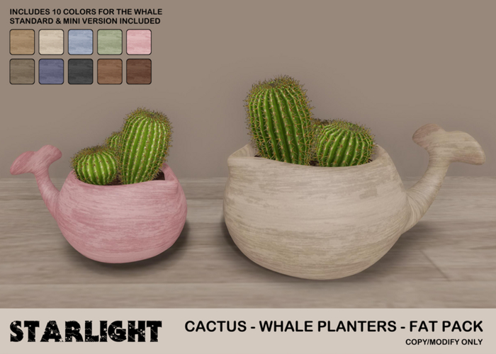 :: SA ::  Cactus - Whale Planter - Fat Pack
