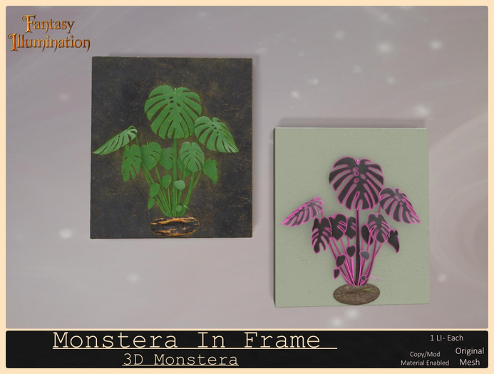 Monstera In Frame