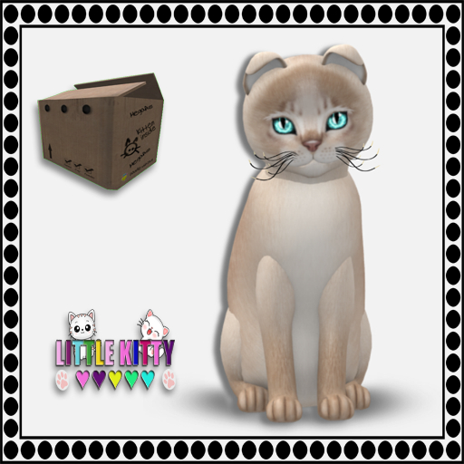 KittyCatS Box - Abyssinian - Lilac M