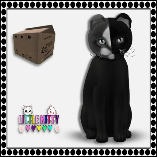 KittyCatS Box - Chimera - Black Grey F