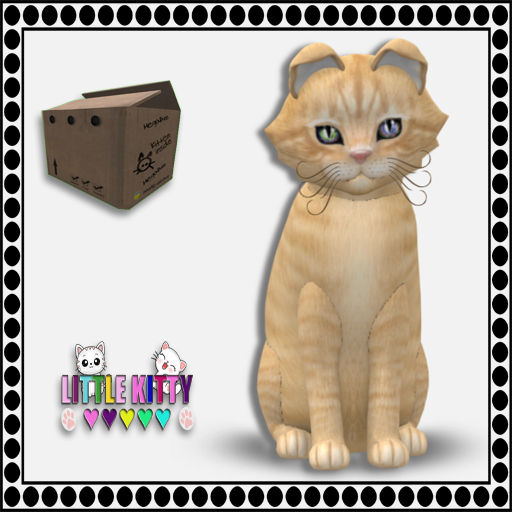 KittyCatS Box - European Shorthair - Croissant M