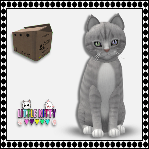 KittyCatS Box - European Shorthair - London Fog F