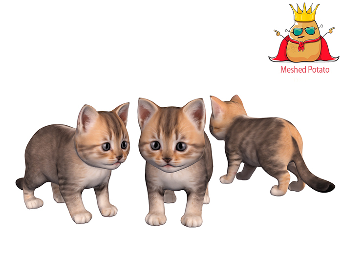 Meshed Potato Cute Cat Full Perm
