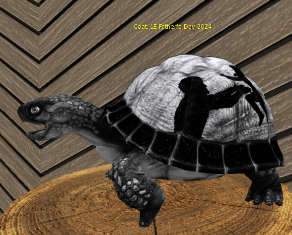 Foxtrot Box Turtle Breedable Large Female LE Father's Day 2024
