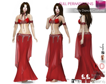 MI962740 Belly Dance Costume FITMESH