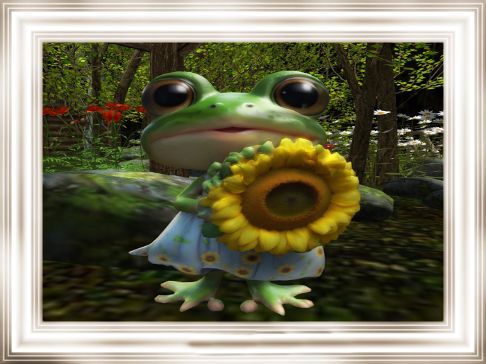 HB: Girl Frog Sunflower FULL PERM