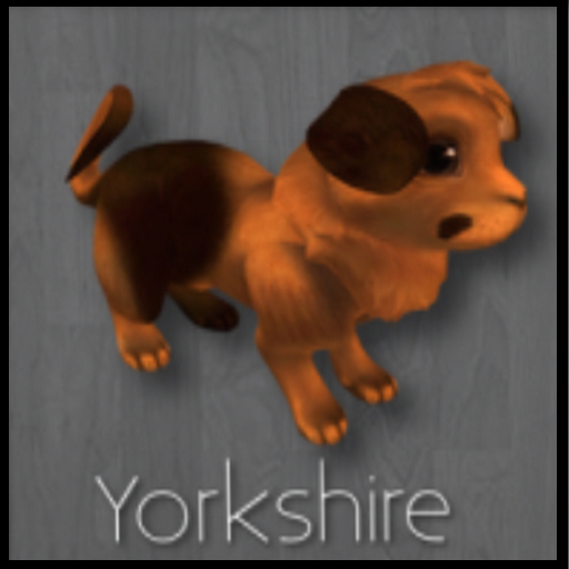 DOS Vivid Solid Tree Yorkhire F Friend ID #8599967