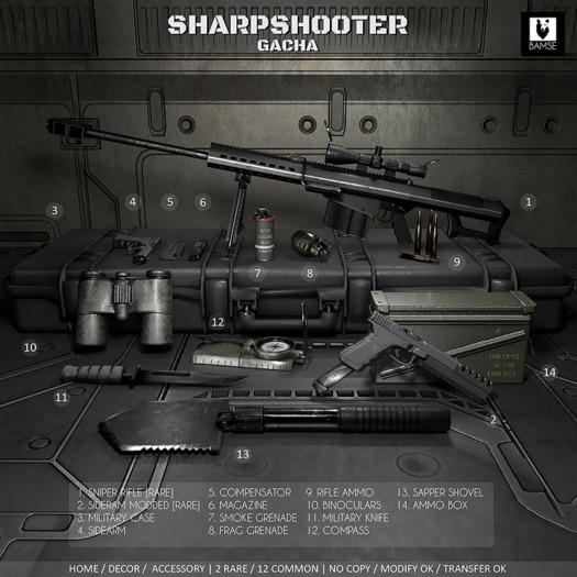 :BAMSE: Sharpshooter - Compass