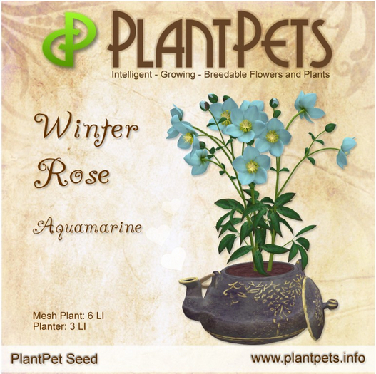 PlantPet Seed [Winter Rose *Aquamarine*]