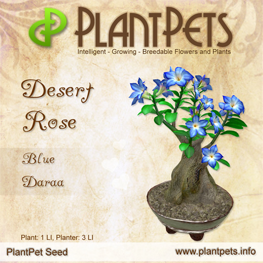 PlantPet Seed [Desert Rose *Blue Daraa*]
