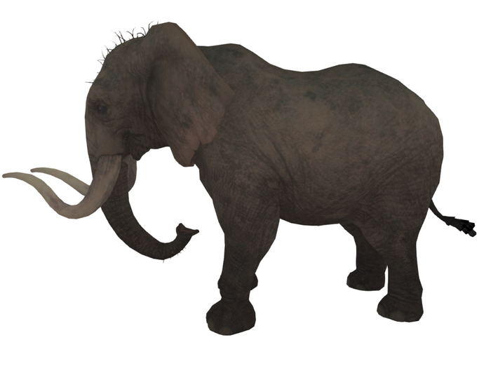 Elefant