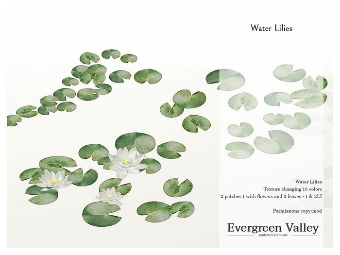 Water Lilies