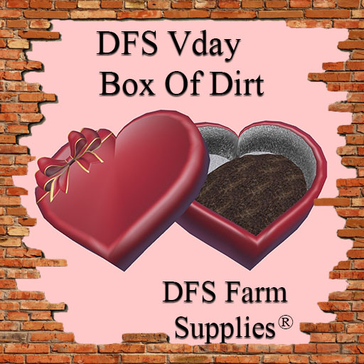 SALE - DFS Vday Box Of Dirt - ACTUAL ITEM PROMO SUMMER