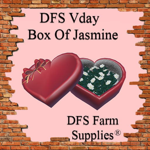 SALE - DFS Vday Box Of Jasmine - ACTUAL ITEM PROMO SUMMER