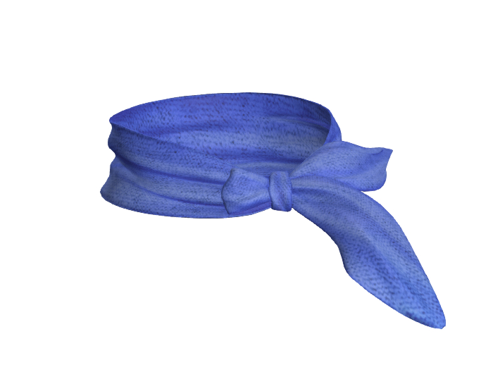 Blue Scarf