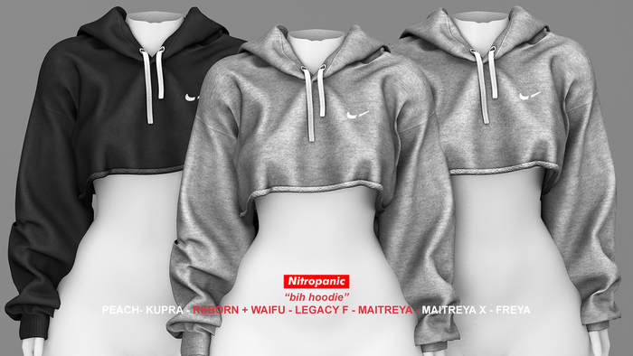 Nitropanic DEMO_Bih Hoodie (ADD)